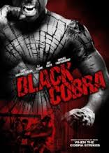 Kara Kobra izle – Black Cobra Türkçe Dublaj