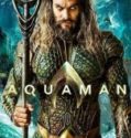 Aquaman 2018 Türkçe Dublaj izle HD