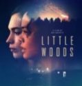 Küçük Orman – Little Woods 2018 Altyazılı izle